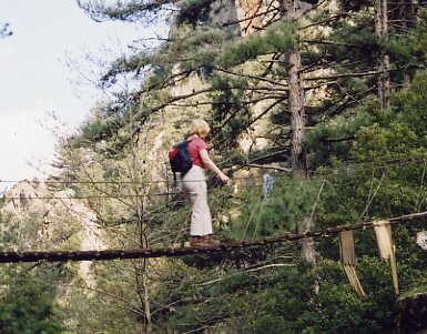 Wendy approaches the missing step