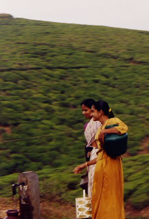 Fetching water from the pump