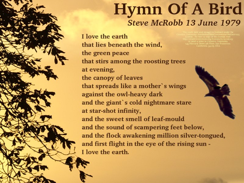 I love the earth that lies beneath the wind...