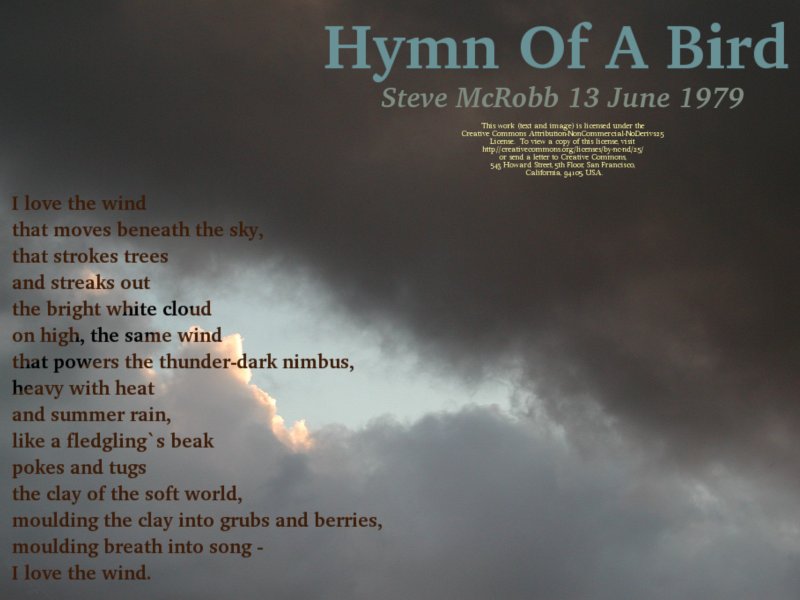 I love the wind that moves beneath the sky...