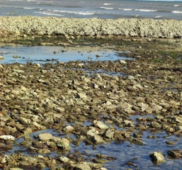 Abandoned clos de poissons, Ile de Re